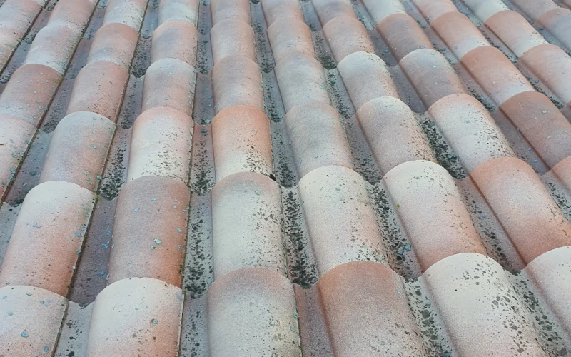 Service de nettoyage et Traitement hydrofuge de façade