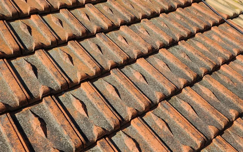 Traitement hydrofuge coloré sur couverture en Vendée